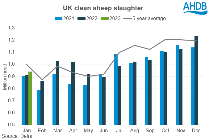 Graph showing clean sheep slaughter up YOY